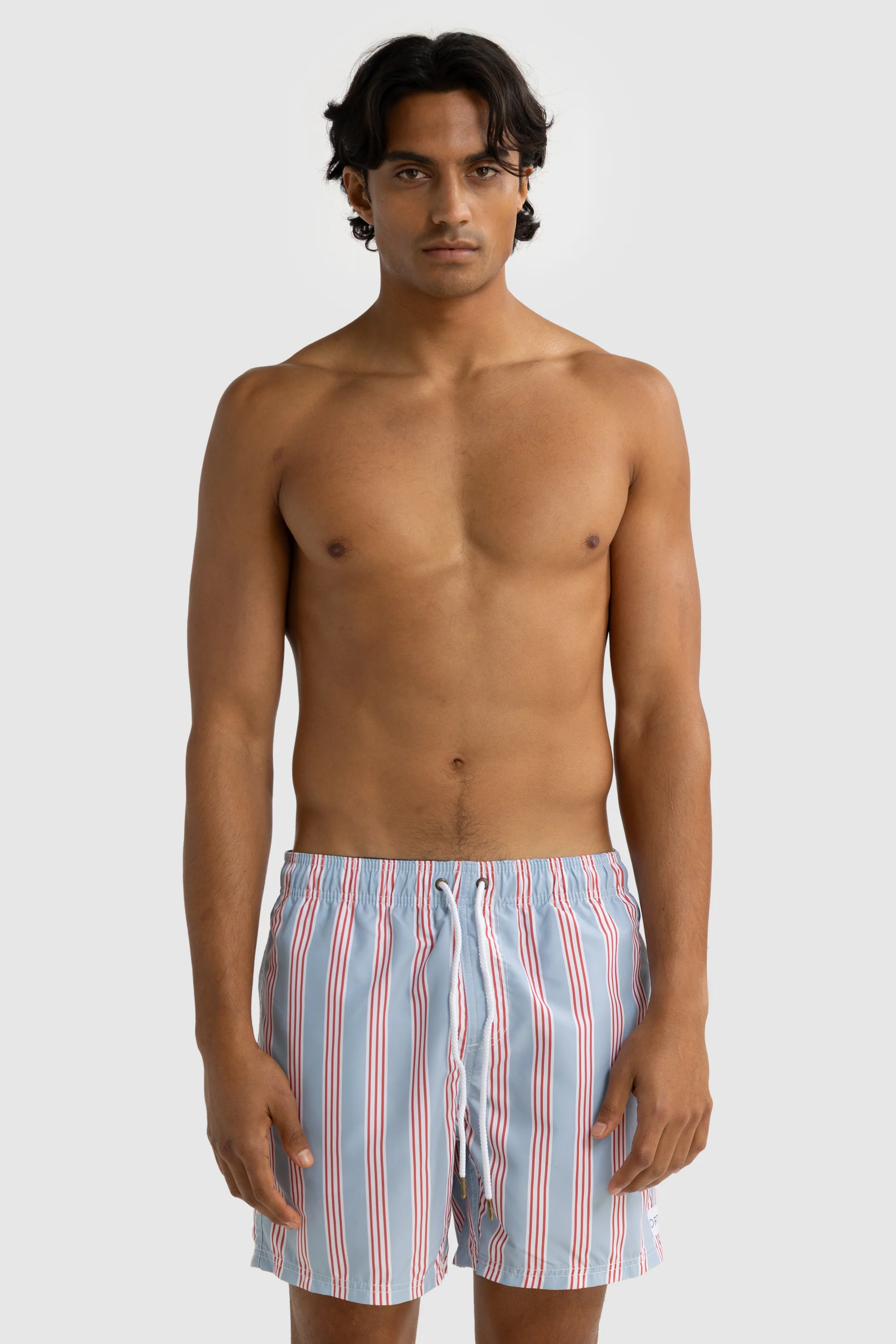 Boardwalk Stripe Swim Shorts Mist Blue