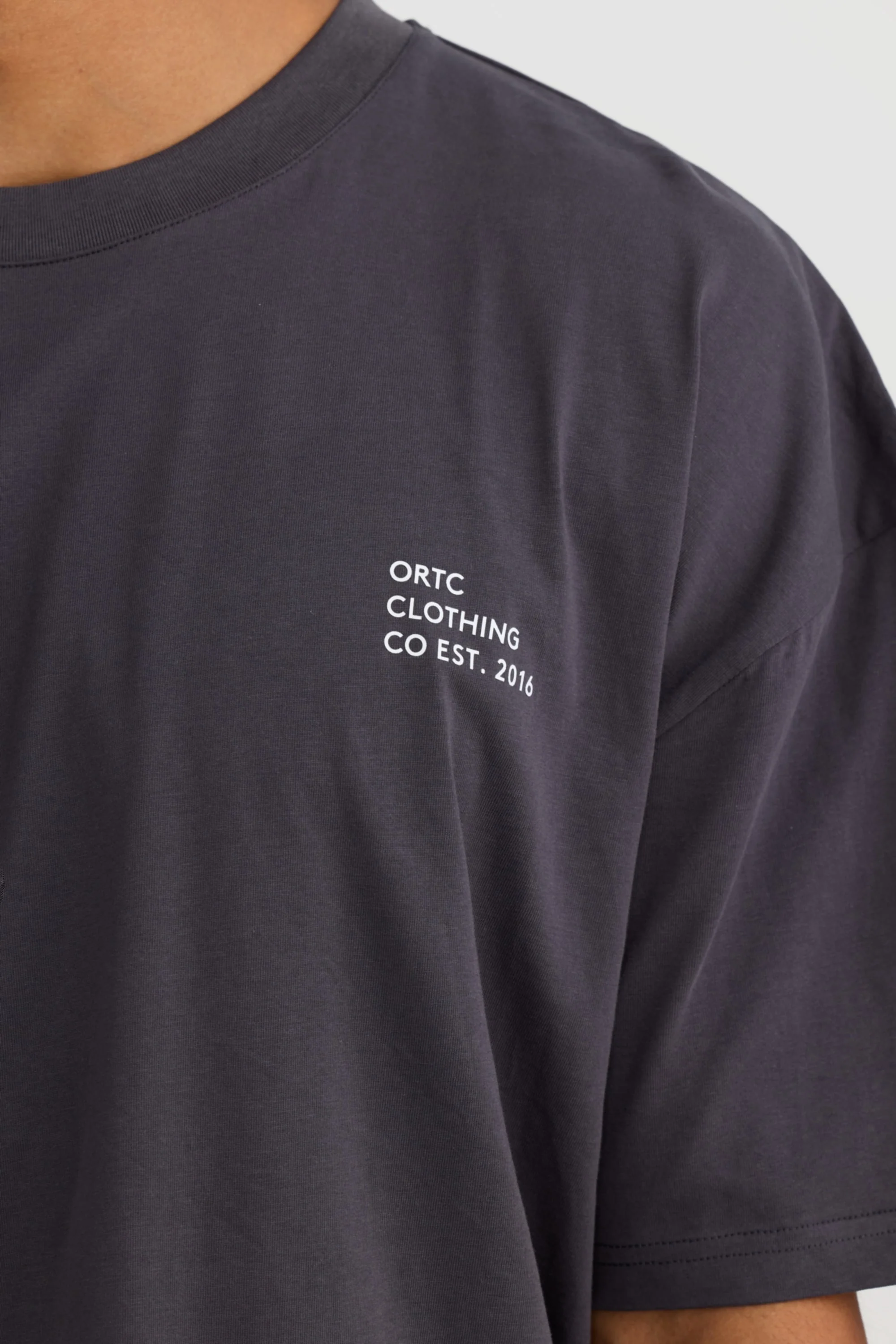 Box Fit Logo T Shirt Charcoal - Image 2