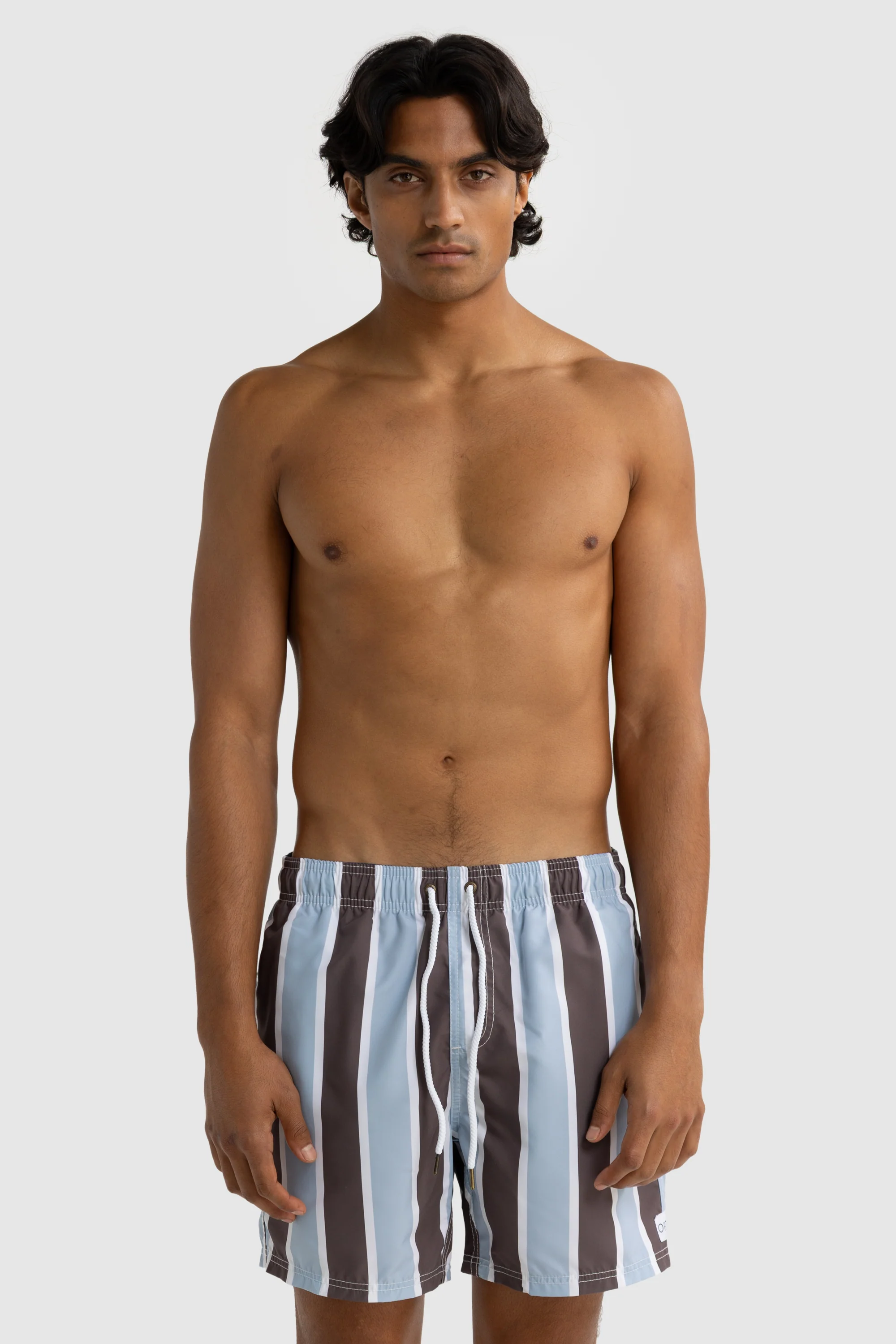 Hamelin Stripe Swim Shorts Bark