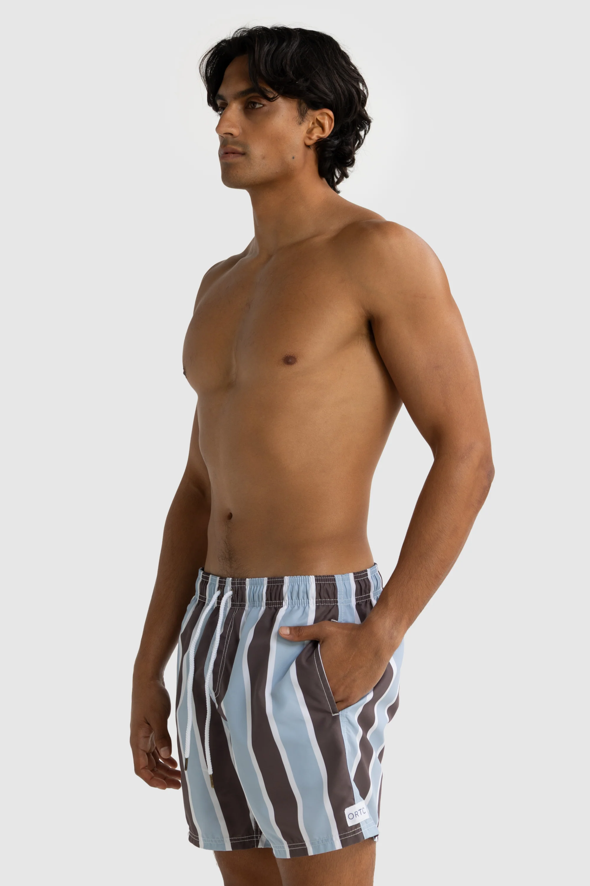 Hamelin Stripe Swim Shorts Bark - Image 4