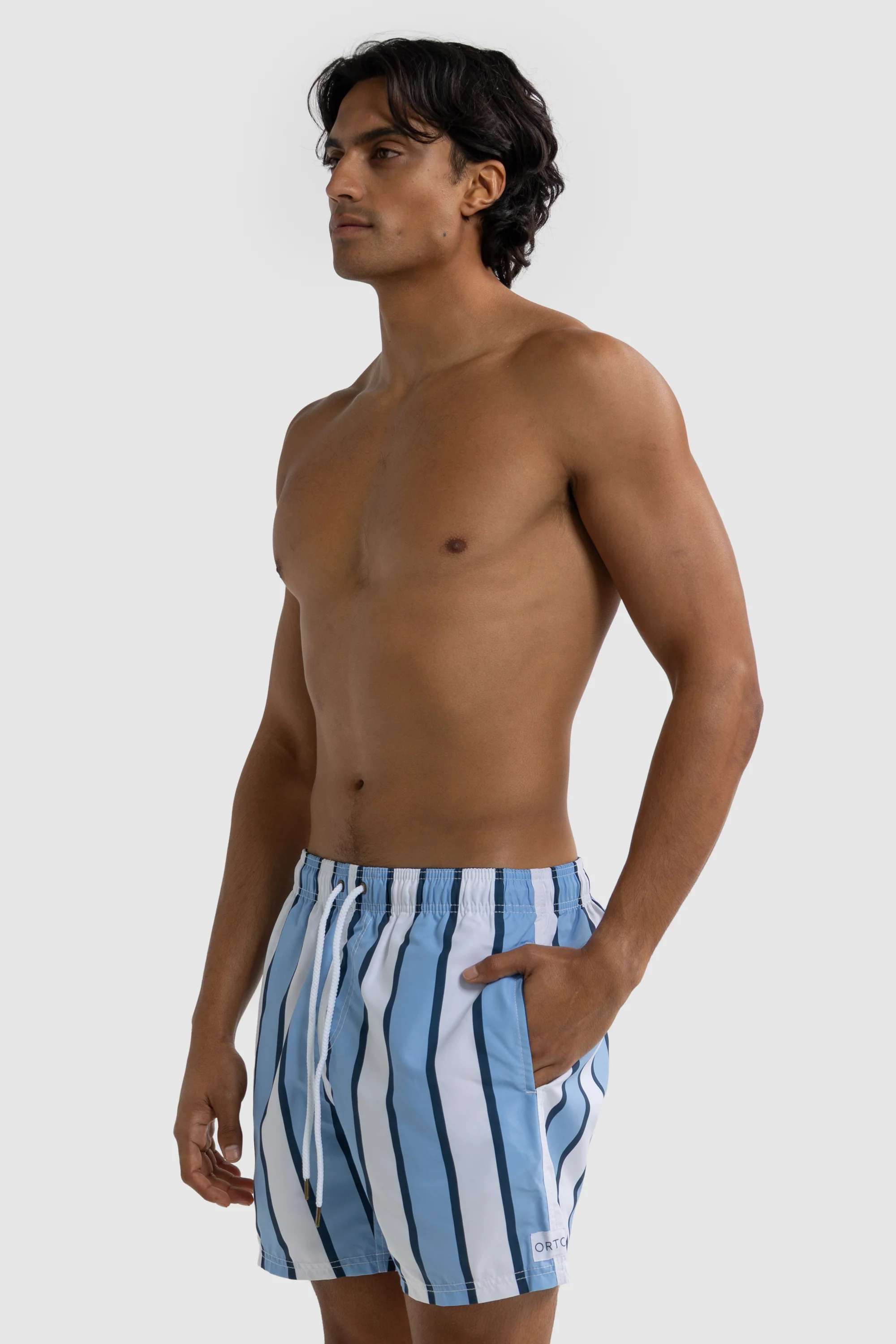 Hamelin Stripe Swim Shorts Blue - Image 4