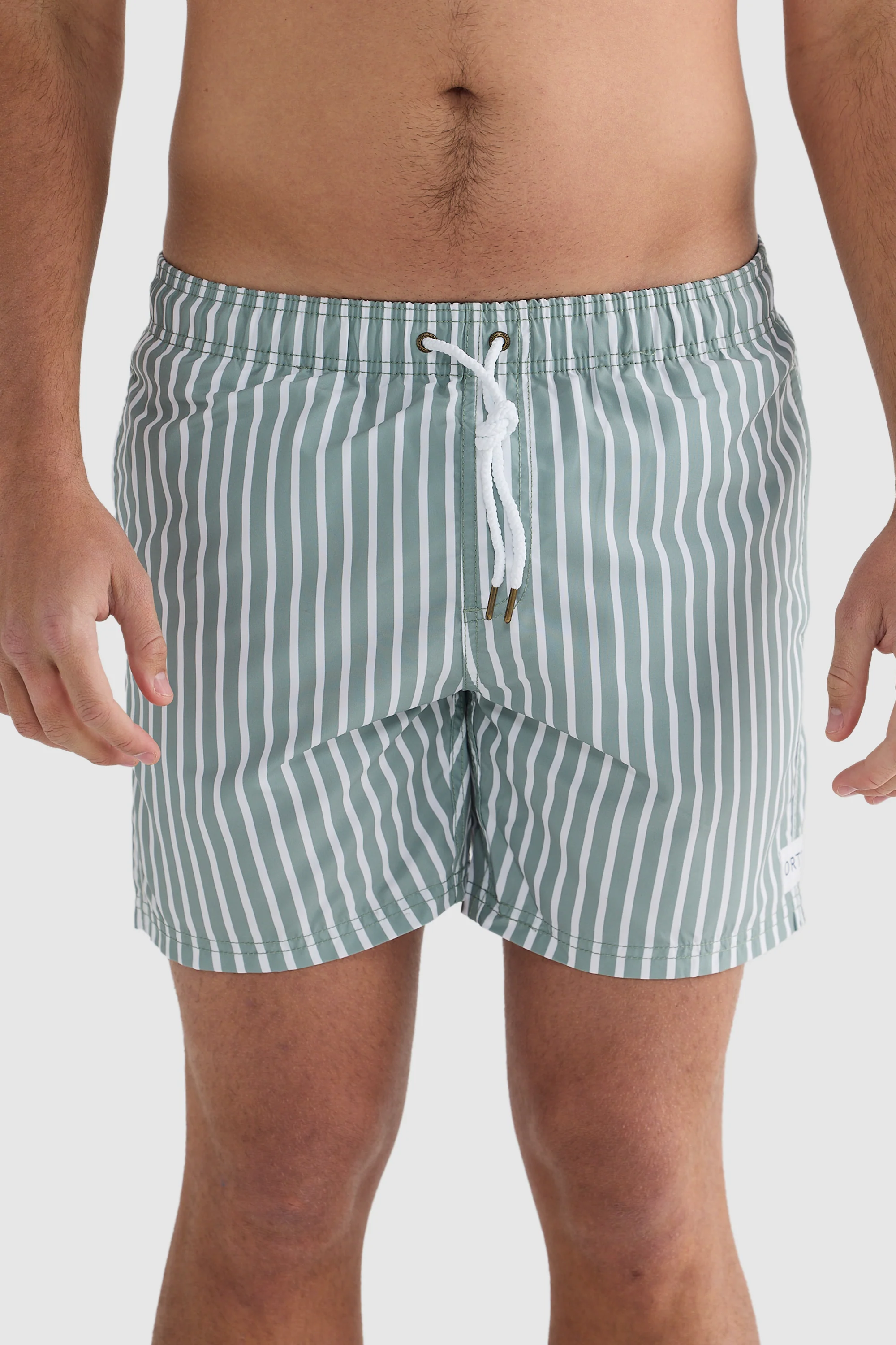 Middleton Sage Swim Shorts - Image 2